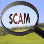 Scam Scam