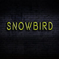 Snowbird